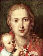 Albrecht Durer The Madonna of the Carnation Sweden oil painting artist